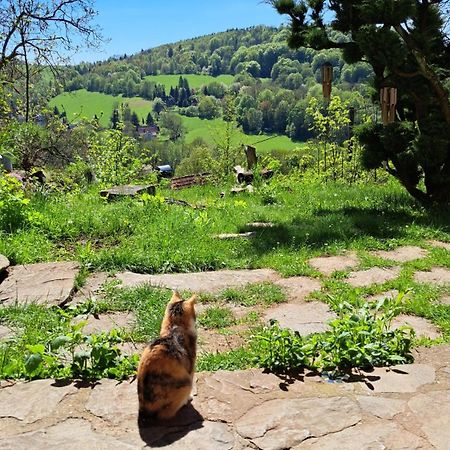 Radja Hobit Penzion Malecov Exteriér fotografie