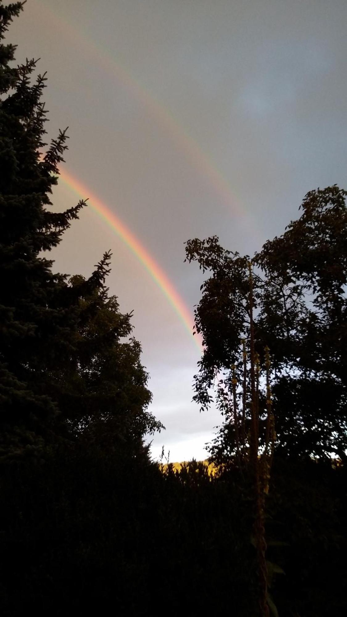 Radja Hobit Penzion Malecov Exteriér fotografie