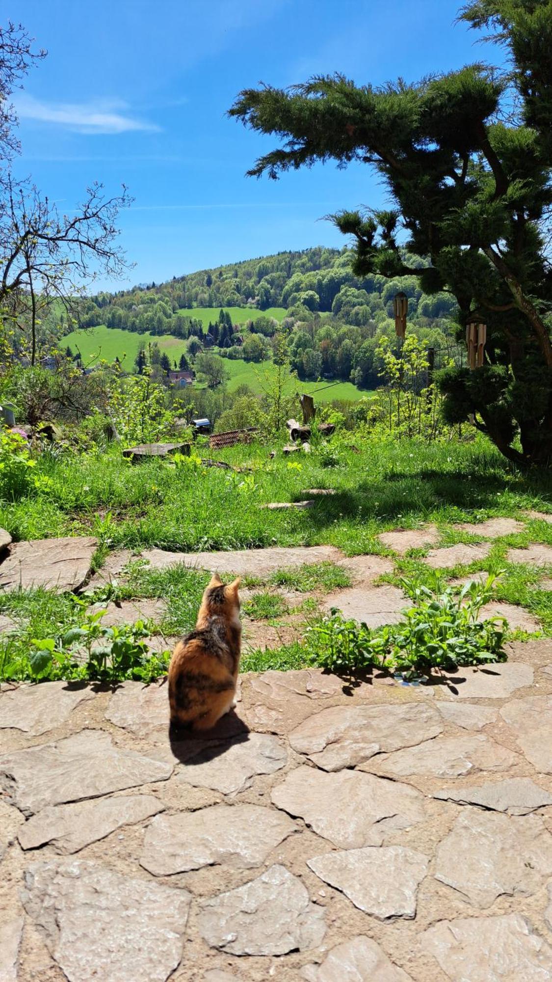 Radja Hobit Penzion Malecov Exteriér fotografie